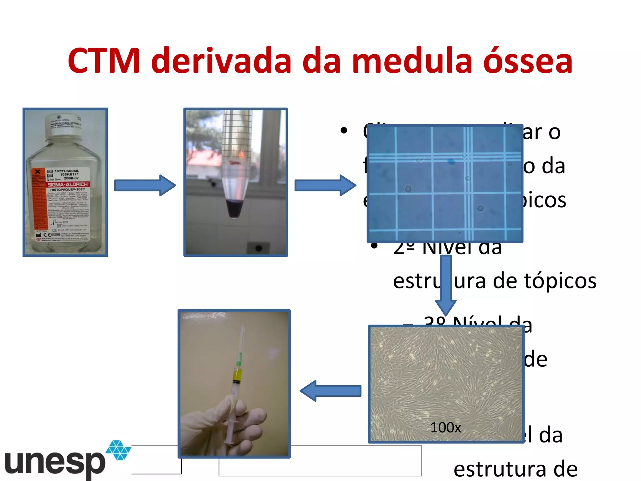 CTM derivada da medula óssea 100x 