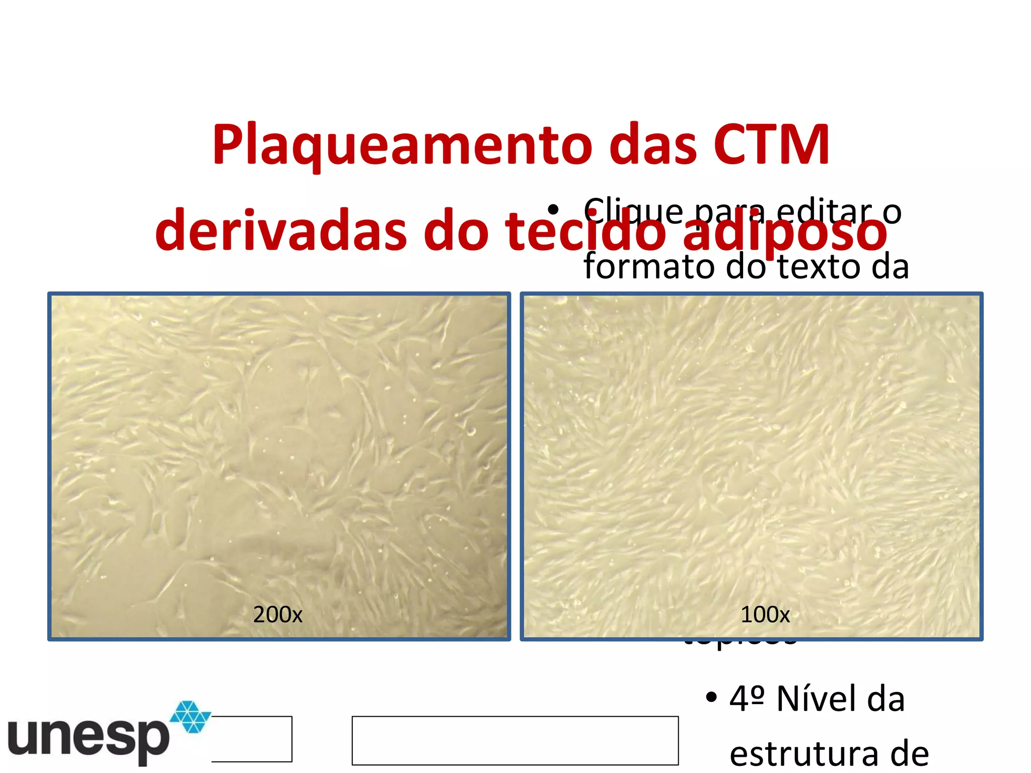 Plaqueamento das CTM derivadas do tecido adiposo 200x 100x 
