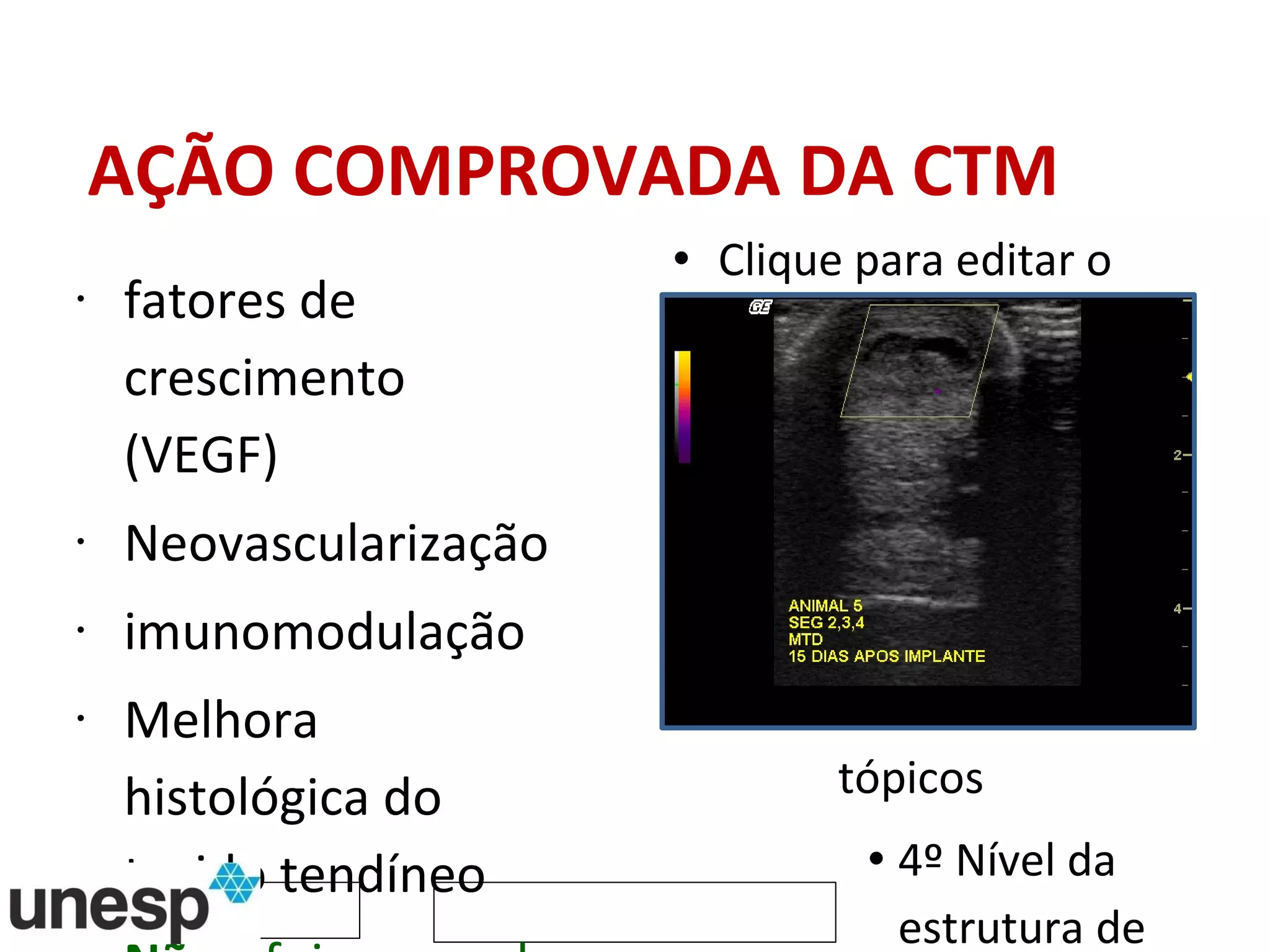 AÇÃO COMPROVADA DA CTM  fatores de crescimento  (VEGF) Neovascularização imunomodulação Melhora histológica do tecido tendíneo Não  foi provado que a CTM implantada se diferencia no tipo celular do tecido implantado 