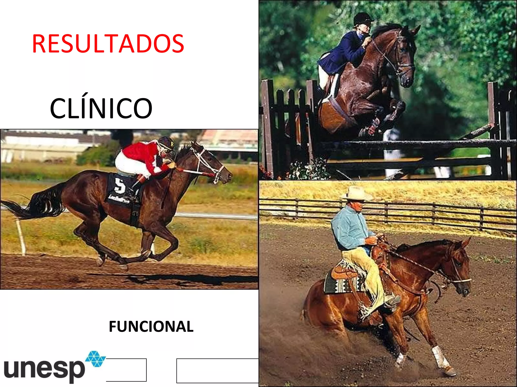 CLÍNICO RESULTADOS FUNCIONAL 