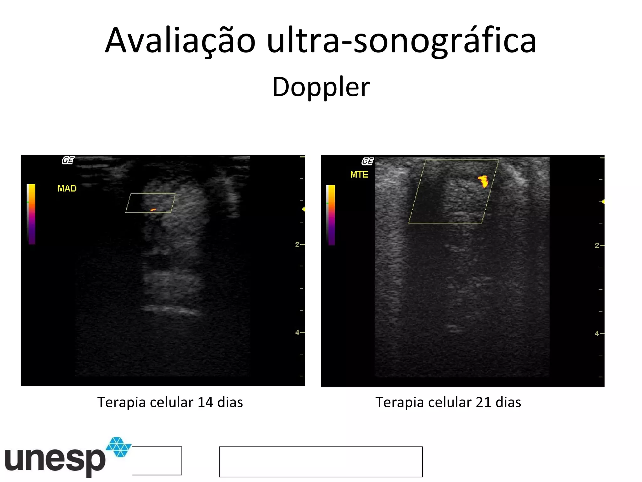 Avaliação ultra-sonográfica Doppler Terapia celular 14 dias Terapia celular 21 dias 