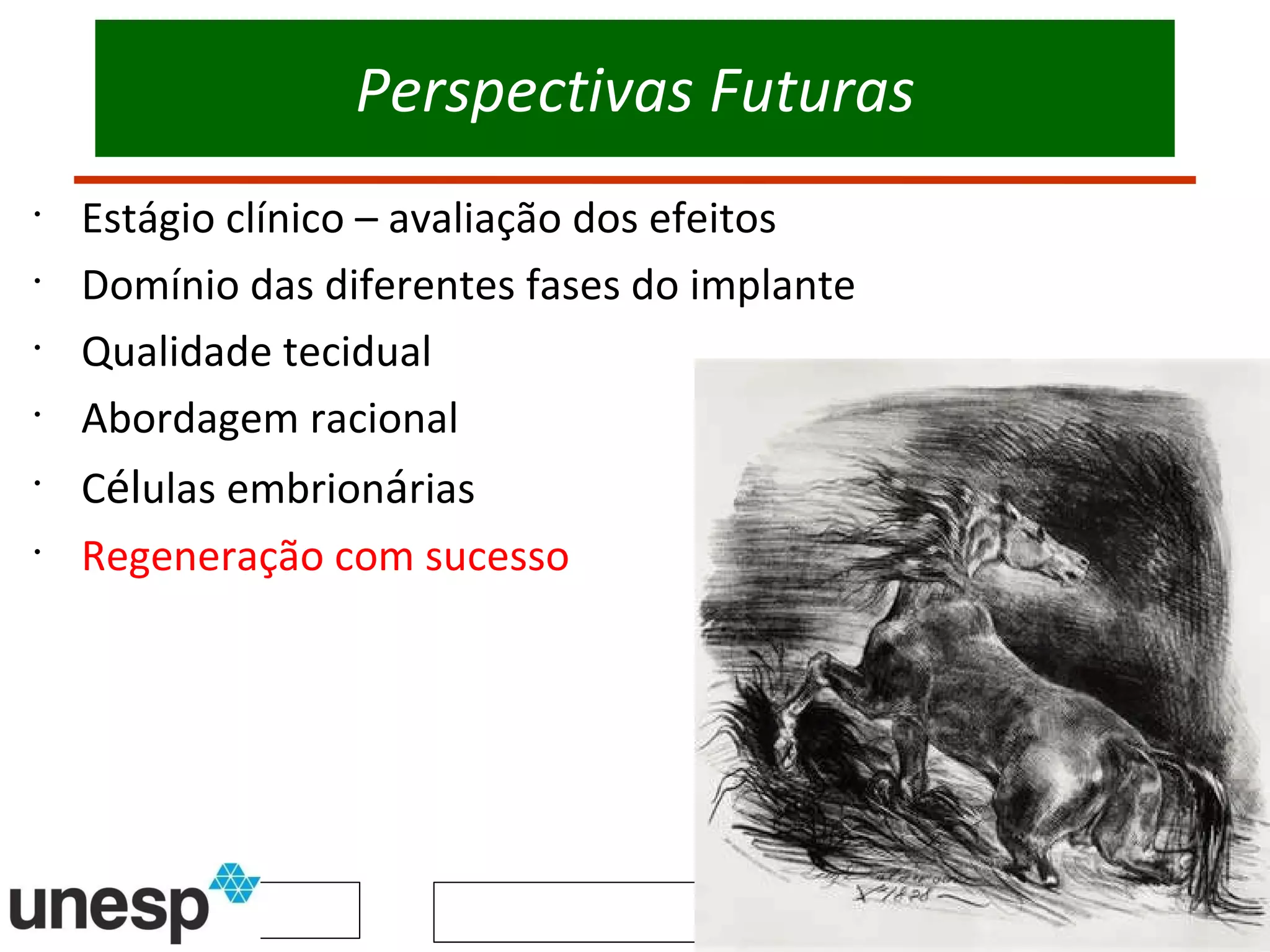 Perspectivas Futuras Estágio clínico – avaliação dos efeitos Domínio das diferentes fases do implante Qualidade tecidual Abordagem racional  C él ulas embrion á rias Regeneração com sucesso 