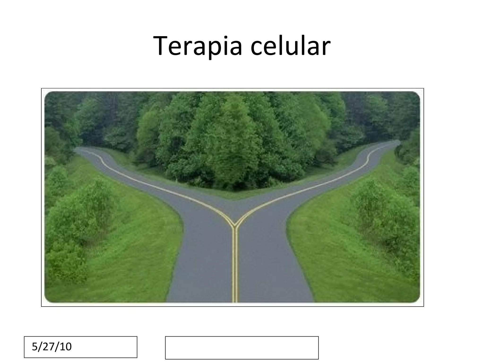 Terapia celular 