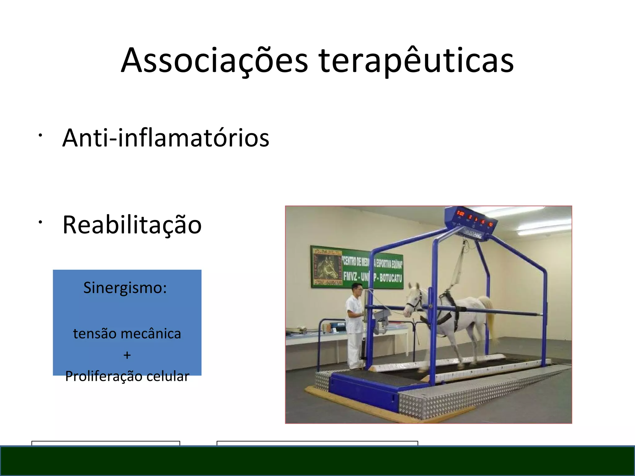 Associações terapêuticas Anti-inflamatórios Reabilitação Sinergismo:  tensão mecânica + Proliferação celular 