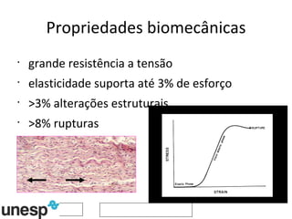 Propriedades biomecânicas grande resistência a tensão elasticidade suporta até 3% de esforço >3% alterações estruturais >8% rupturas 