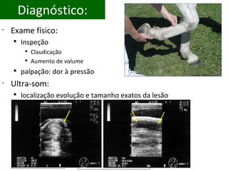 Diagnóstico: Exame físico: Inspeção Claudicação Aumento de volume palpação: dor à pressão Ultra-som: localização evolução e tamanho exatos da lesão 