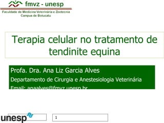 Terapia celular no tratamento de tendinite equina Profa. Dra. Ana Liz Garcia Alves Departamento de Cirurgia e Anestesiologia Veterinária Email:  [email_address] 