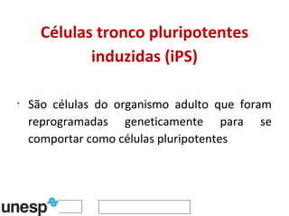 Células tronco pluripotentes induzidas (iPS) São células do organismo adulto que foram reprogramadas geneticamente para se comportar como células pluripotentes  