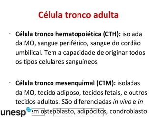 Célula tronco adulta Célula tronco hematopoiética (CTH):  isolada da MO, sangue periférico, sangue do cordão umbilical. Tem a capacidade de originar todos os tipos celulares sanguíneos Célula tronco mesenquimal (CTM):  isoladas da MO, tecido adiposo, tecidos fetais, e outros tecidos adultos. São diferenciadas  in vivo  e  in vitro  em osteoblasto, adipócitos, condroblasto e mioblasto 