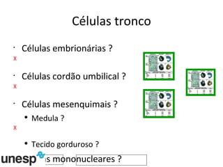 Células tronco Células embrionárias ? X Células cordão umbilical  ? X Células mesenquimais ? Medula ? X Tecido gorduroso ? Células mononucleares ? 
