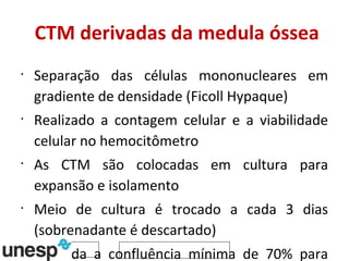CTM derivadas da medula óssea Separação das células mononucleares em gradiente de densidade (Ficoll Hypaque) Realizado a contagem celular e a viabilidade celular no hemocitômetro As CTM são colocadas em cultura para expansão e isolamento  Meio de cultura é trocado a cada 3 dias (sobrenadante é descartado) Aguarda a confluência mínima de 70% para realizar a tripsinização 