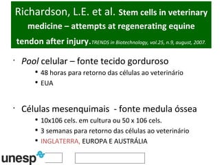 Richardson, L.E. et al.   Stem cells in veterinary medicine – attempts at regenerating equine tendon after injury . TRENDS in Biotechnology, vol.25, n.9, august, 2007. Pool  celular – fonte tecido gorduroso 48 horas para retorno das células ao veterinário EUA Células mesenquimais  - fonte medula óssea 10x106 cels. em cultura ou 50 x 106 cels. 3 semanas para retorno das células ao veterinário INGLATERRA,  EUROPA E AUSTRÁLIA 