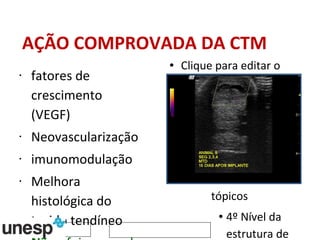 AÇÃO COMPROVADA DA CTM  fatores de crescimento  (VEGF) Neovascularização imunomodulação Melhora histológica do tecido tendíneo Não  foi provado que a CTM implantada se diferencia no tipo celular do tecido implantado 