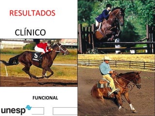 CLÍNICO RESULTADOS FUNCIONAL 
