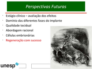Perspectivas Futuras Estágio clínico – avaliação dos efeitos Domínio das diferentes fases do implante Qualidade tecidual Abordagem racional  C él ulas embrion á rias Regeneração com sucesso 