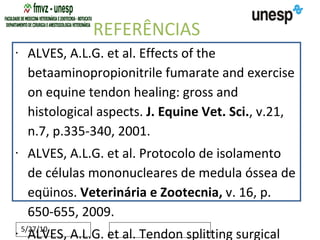 REFERÊNCIAS ALVES, A.L.G. et al. Effects of the betaaminopropionitrile fumarate and exercise on equine tendon healing: gross and histological aspects.  J. Equine Vet. Sci. , v.21, n.7, p.335-340, 2001. ALVES, A.L.G. et al. Protocolo de isolamento de células mononucleares de medula óssea de eqüinos.  Veterinária e Zootecnia,  v. 16, p. 650-655, 2009. ALVES, A.L.G. et al. Tendon splitting surgical treatment on experimental equine acute tendinitis.  Arch. Vet. Sci. , v.7, n.2, p.45-51, 2002. ALVES, A.L.G.  Influência da beta-aminopropionitrila associada à atividade física na reparação de eqüinos após agressão pela colagenase . Análise ultrassonográfica e morfológica. 1998. 92f. Tese (Doutorado) – Faculdade de Medicina, Universidade Estadual Paulista, Botucatu. AVELLA, C.L. et al. Ultrasound evaluation of stem cell treated tendon injuries in the horse: repair or regeneration?  Ultrasound , v.17, p.74-79, 2009. AVELLA, C.S. et al. Ultrasonographic assessment of the superficial digital flexor tendons of National Hunt racehorses in training over two racing seasons.  Equine Vet. J. , v.41, p.449-454, 2009. BARREIRA, A.P.B. et al. Autologous implanto f bone marrow mononuclear cells as treatment of induced equine tendinits.  Intern. J. Appl. Res. Vet. Med. ,   v.6, p.46-54, 2008. BOSCH, G. et al. Effects of platelet-rich plasma on the quality of repair of mechanically induced core lesions in equine superficial digital flexor tendons: a placebo-controlled experimental study.  J. Orthop. Res. ,   v.28, p.211-217,   2009a. doi: 10.1002/jor.20980. Bosch, G., et al. Computerised analysis of standardised ultrasonographic images to monitor the repair of surgically created core lesions in equine superficial digital flexor tendons following treatment with intratendinous platelet rich plasma or placebo.  The Veterinary Journal  2009b, doi:10.1016/j.tvjl.2009.10.014 CAMINOTO, E.H. et al. Ultrasound and immunohistochemical evaluation of the effects of extracorporeal shock wave treatment in the hindlimbs of horses with experimentally induced suspensory ligament desmitis.  Am. J. Vet. Res. , v.66, n.5, p.892-896, 2005. CAPLAN, A.I.; DENNIS, J.E. Mesenchymal stem cells as trophic mediators.  J. Cell Biochem. , v.98, p.1076-1084, 2006. Carvalho, A.M. et al. Isolation and immunophenotypic characterization of mesenchymal stem cells derived from equine species adipose tissue.  Vet. Immunol. Immunopathol. , v.132, p.303-306, 2009.  CARVALHO, A.M.  Implante autólogo de células-tronco mesenquimais do tecido adiposo no tratamento de tendinites experimentais em eqüinos : avaliação clínica, ultrassonográfica, histopatológica e imunoistoquímica. 2009. 134p. Tese (Mestrado) – Faculdade de Medicina Veterinária e Zootecnia, Universidade Estadual Paulista, Botucatu.  CHAMBERLAIN, G. et al. Concise review: mesenchymal stem cells: their phenotype, differentiation capacity, immunological features, and potential for homing.  Stem Cells , v.25, p.2739-2749, 2007.  cROVACE, A. Cell therapy for tendon repair in horses: an experimental study.  Vet. Res. Commun.,  v.31, p.281-283, 2007. DAHLGREN, L.A. et al. Temporal expression of growth factors and matrix molecules in healing tendon lesions.  Journal of orthopaedic research,  v.23, p.84-92, 2005.   DAHLGREN, L.A. Management of tendon injuries. In: ROBINSON, N.E.  Current therapy in equine medicine 6.  Saunders: Elselvier, 2009, Cap.115, p.518-523. DAHLGREN, L.A. Pathobiology of tendon and ligament injuries.  Clinical Techniques in Equine Practice , v.6, n.1, p.168-173, 2007. DEL BUE, M. et al. Equine adipose-tissue derived mesenchymal stem cells and platelet concentrates: their association  in vitro  and  in vivo .  Vet. Res. Commun. , v.32, p.51-55, 2008. DYSON, S.J. Medical management of superficial digital flexor tendonitis: a comparative study in 219 horses (1992-2000).  Equine Vet. J. , v.36, p.415-419, 2004. DYSON, S.J. Treatment of superficial digital flexor tendinitis: a comparison of conservative management, sodium hyaluronate and glycosaminoglycan polysulfate. In: ANNUAL CONVENTION OF THE AAEP ,43., 1997. Phoenix.  Proceedings… Phoenix, 1997. p.297-300. FORTIER, L.A. et al. Evidence for stem cell in cartilage regeneration. In: Convention of the AAEP, Orlando, Florida, USA.  American Association of Equine Practitioners Annual Convetion , p.329-334, 2007. FORTIER, L.A. et al. Isolation and chondrocytic differentiation of equine bone marrow-derived mesenchymal stem cells.  Am. J. Vet. Res. , v.59, p.1182-1187,1998. FORTIER, L.A. Medical therapies for tendonitis. In: Congress of World Equine Veterinary Association, Guarujá, São Paulo, Brazil.  Proceedings of 11th world congress of world equine veterinary association , 2009.  FORTIER, L.A. Stem cells: classifications, controversies, and clinical applications.  Vet. Surg. , v.34, p.415-423, 2005. FORTIER, L.A.; SMITH, R.K. Regenerative medicine for tendinous and ligamentous injuries of sport horses.  Vet. Clin. North Am. Equine Pract. , v.24, p.191-201, 2008. Friedenstein, A.J .  Osteogenesis in transplants of BM cells.   J Embryol Exp Morphol.,  v.16, p.381–90, 1966 . GUEST, D.J et al. Monitoring the fate of autologous and allogeneic mesenchymal progenitor cells injected into the superficial digital flexor tendon of horses: preliminary study.  Equine Vet. J. , v.40, n.2, p.178-181, 2008. Herthel, D.J. Enhanced suspenspory ligament healing in 100 horses by stem cell and other bone marrow components.   In: Annual American association of equine practioners convention, 47,2001.  Proceedings of the 47th AAEP Annual Convention : November 24–28,  San Diego, California, USA, 2001, p.319-321. KEVY, S.V.; JACOBSON, M.S. Comparison of methodos for point of care preparation of autologous platelet gel.  J. Extra Corpor. Technol.,  v.36, n.1, p.29-35, 2004. KOCH, T.G. et al. Concepts for the clinical use of stem cells in equine medicine.  Can. Vet. J. , v.49, p.1009-1017, 2008. KOCH, T.G. et al. Current and future regenerative medicine: principles, concepts, and therapeutic use of stem cell therapy and tissue engineering in equine medicine.  Can. Vet. J. , v.50, p.155-165, 2009. Koch, T.G. Isolation of mesenchymal stem cells from equine umbilical cord blood.  BMC Biotechnol , v.7, n. 26, p.2007.  Koerner, J. Equine Peripheral Blood-Derived Progenitors in Comparison to Bone Marrow-Derived Mesenchymal Stem Cells.  Stem Cells , v.24, p.1613–1619, 2006. LACITIGNOLA, L. et al. Cell therapy for tendinitis, experimental and clinical report.  Vet Res Commun,  v.32, p.33-38, 2008. MAIA, L. et al. Platelet-Rich plasma in the treatment of induced tendinopathy in horses: histologic evaluation.  J. Equine Vet. Sci. , v.29, p.618-626, 2009. Mambelli, L.I. et al. Characterization of equine adipose tissue-derived progenitor cells before and after cryopreservation.  Tissue Eng.: Part C , v.15, p.87–94, 2009. 