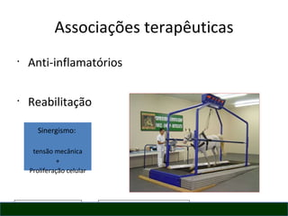 Associações terapêuticas Anti-inflamatórios Reabilitação Sinergismo:  tensão mecânica + Proliferação celular 