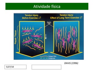 Atividade   física DAVIS (1996) 