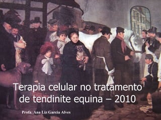 Terapia celular no tratamento de tendinite equina – 2010 Profa. Ana Liz Garcia Alves 