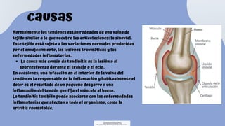 causas
La causa más común de tendinitis es la lesión o el
sobreesfuerzo durante el trabajo o el ocio.
Normalmente los tendones están rodeados de una vaina de
tejido similar a la que recubre las articulaciones: la sinovial.
Este tejido está sujeto a las variaciones normales producidas
por el envejecimiento, las lesiones traumáticas y las
enfermedades inflamatorias.
En ocasiones, una infección en el interior de la vaina del
tendón es la responsable de la inflamación y habitualmente el
dolor es el resultado de un pequeño desgarro o una
inflamación del tendón que fija el músculo al hueso.
La tendinitis también puede asociarse con las enfermedades
inflamatorias que afectan a todo el organismo, como la
artritis reumatoide.
Descargado por Fiorenza Salazar
(fiorenzasalazar1234@gmail.com)
Encuentra más documentos en www.udocz.com
 