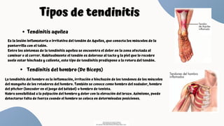 Tipos de tendinitis
Tipos de tendinitis
Tendinitis aquílea
Es la lesión inflamatoria o irritativa del tendón de Aquiles, que conecta los músculos de la
pantorrilla con el talón.
Entre los síntomas de la tendinitis aquílea se encuentra el dolor en la zona afectada al
caminar o al correr. Habitualmente el tendón es doloroso al tacto y la piel que lo recubre
suele estar hinchada y caliente, este tipo de tendinitis predispone a la rotura del tendón.
La tendinitis del hombro es la inflamación, irritación e hinchazón de los tendones de los músculos
del manguito de los rotadores del hombro. También se conoce como hombro del nadador, hombro
del pitcher (lanzador en el juego del béisbol) u hombro de tenista.
Habra sensibilidad a la palpación del hombro y dolor con la elevación del brazo. Asimismo, puede
detectarse falta de fuerza cuando el hombro se coloca en determinadas posiciones.
Tendinitis del hombro (De Bíceps)
Descargado por Fiorenza Salazar
(fiorenzasalazar1234@gmail.com)
Encuentra más documentos en www.udocz.com
 