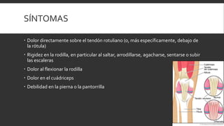 SÍNTOMAS
 Dolor directamente sobre el tendón rotuliano (o, más específicamente, debajo de
la rótula)
 Rigidez en la rodilla, en particular al saltar, arrodillarse, agacharse, sentarse o subir
las escaleras
 Dolor al flexionar la rodilla
 Dolor en el cuádriceps
 Debilidad en la pierna o la pantorrilla
 