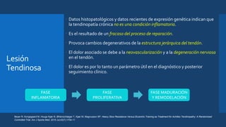 Lesión
Tendinosa
 Datos histopatológicos y datos recientes de expresión genética indican que
la tendinopatía crónica no es una condición inflamatoria.
 Es el resultado de un fracaso del proceso de reparación.
 Provoca cambios degenerativos de la estructura jerárquica del tendón.
 El dolor asociado se debe a la neovascularización y a la degeneración nerviosa
en el tendón.
 El dolor es por lo tanto un parámetro útil en el diagnóstico y posterior
seguimiento clínico.
Beyer R, Kongsgaard M, Hougs Kjær B, Øhlenschlæger T, Kjær M, Magnusson SP. Heavy Slow Resistance Versus Eccentric Training as Treatment for Achilles Tendinopathy: A Randomized
Controlled Trial. Am J Sports Med. 2015 Jul;43(7):1704-11
FASE
INFLAMATORIA
FASE
PROLIFERATIVA
FASE MADURACIÓN
Y REMODELACIÓN
 