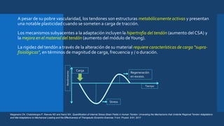  A pesar de su pobre vascularidad, los tendones son estructuras metabólicamente activas y presentan
una notable plasticidad cuando se someten a carga de tracción.
 Los mecanismos subyacentes a la adaptación incluyen la hipertrofia del tendón (aumento del CSA) y
la mejora en el material del tendón (aumento del módulo deYoung).
 La rigidez del tendón a través de la alteración de su material requiere características de carga "supra-
fisiológicas", en términos de magnitud de carga, frecuencia y / o duración.
Maganaris CN, Chatzistergos P, Reeves ND and Narici MV. Quantification of Internal Stress-Strain Fields in Human Tendon: Unraveling the Mechanisms that Underlie Regional Tendon Adaptations
and Mal-Adaptations to Mechanical Loading and the Effectiveness of Therapeutic Eccentric Exercise. Front. Physiol. 8:91; 2017
Carga
Stress
Tiempo
Rendimiento
Regeneración
en exceso.
 