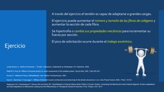 Ejercicio
 A través del ejercicio el tendón es capaz de adaptarse a grandes cargas.
 El ejercicio puede aumentar el número y tamaño de las fibras de colágeno y
aumentar la sección de cada fibra.
 Se hipertrofia o cambia sus propiedades mecánicas para incrementar su
fuerza por sección.
 El pico de solicitación ocurre durante el trabajo excéntrico.
Jurado Bueno A., Medina Porqueres I., Tendón. Valoración y tratamiento en fisioterapia. Ed. Paidotribo, 2008.
Maffulli N, King JB. Effects of physical activity on some components of the skeletal system. Sports Med 1992; 13(6):393-407.
Krusen E.; Medicina Física y Rehabilitación. 4ed. Madrid: Panamericana; 1993.
Kubo K., Kanchisa H, Fukunaga T.; Effects of transient muscle contraccions and strecching 0n the tendon structures in vivo. Acta Physiol Scand, 2002; 175(2): 157-64.
Maganaris CN, Chatzistergos P, Reeves ND and Narici MV. Quantification of Internal Stress-Strain Fields in Human Tendon: Unraveling the Mechanisms that Underlie Regional Tendon Adaptations
and Mal-Adaptations to Mechanical Loading and the Effectiveness of Therapeutic Eccentric Exercise. Front. Physiol. 8:91; 2017
 