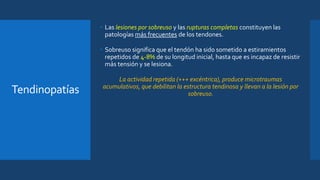 Tendinopatías
• Las lesiones por sobreuso y las rupturas completas constituyen las
patologías más frecuentes de los tendones.
• Sobreuso significa que el tendón ha sido sometido a estiramientos
repetidos de 4-8% de su longitud inicial, hasta que es incapaz de resistir
más tensión y se lesiona.
La actividad repetida (+++ excéntrica), produce microtraumas
acumulativos, que debilitan la estructura tendinosa y llevan a la lesión por
sobreuso.
 