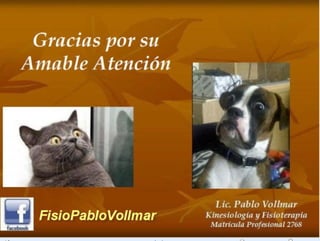 tendinopatia glutea tendinitis de cadera.PDF