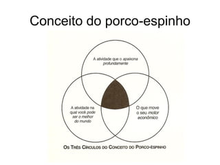 Conceito do porco-espinho
 