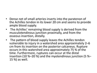 • Dense net of small arteries inserts into the paratenon of
the Achilles tendon in its lower 20 cm and seems to provide
ample blood supply.
• The Achilles’ remaining blood supply is derived from the
musculotendinous junction proximally, and from the
osseous insertion, distally.
• The pattern of blood supply leaves the Achilles tendon
vulnerable to injury in a watershed area approximately 2–6
cm from its insertion on the posterior calcaneus. Rupture
occurs in this watershed area approximately 75 % of the
time. Furthermore, ruptures can occur at the distal
insertion (10 %–20 %) and the myotendinous junction (5 %–
15 %) as well.
 