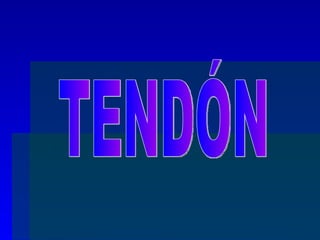 TENDÓN 