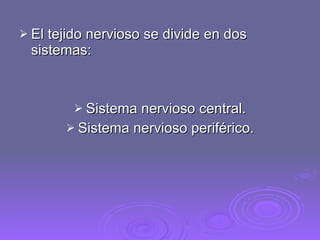 El tejido nervioso se divide en dos sistemas: Sistema nervioso central. Sistema nervioso periférico. 
