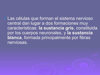 Las células que forman el sistema nervioso central dan lugar a dos formaciones muy características:  la sustancia gris , constituida por los cuerpos neuronales, y  la sustancia blanca , formada principalmente por fibras nerviosas. 