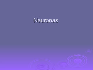 Neuronas  