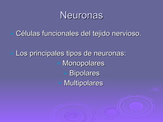 Neuronas Células funcionales del tejido nervioso. Los principales tipos de neuronas: Monopolares  Bipolares Multipolares  