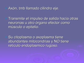 Axón, tmb llamado cilindro eje. Transmite el impulso de salida hacia otras neuronas u otro órgano efector como músculo o epitelio. Su citoplasma o axoplasma tiene abundantes mitocondrias y NO tiene retículo endoplasmico rugoso. 