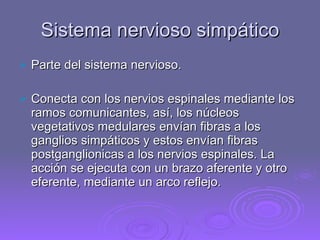 Sistema nervioso simpático Parte del sistema nervioso.  Conecta con los nervios espinales mediante los ramos comunicantes, así, los núcleos vegetativos medulares envían fibras a los ganglios simpáticos y estos envían fibras postganglionicas a los nervios espinales. La acción se ejecuta con un brazo aferente y otro eferente, mediante un arco reflejo. 