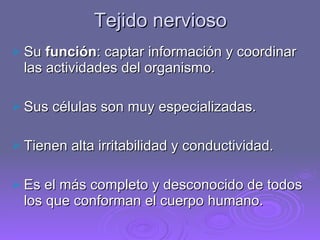 Tejido nervioso Su  función : captar información y coordinar las actividades del organismo. Sus células son muy especializadas. Tienen alta irritabilidad y conductividad. Es el más completo y desconocido de todos los que conforman el cuerpo humano.  