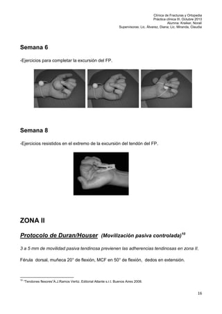 Clínica de Fracturas y Ortopedia
Práctica clínica III. Octubre 2013
Alumna: Kreiker, Noralí
Supervisoras: Lic. Álvarez, Diana; Lic. Miranda, Claudia

Semana 6
-Ejercicios para completar la excursión del FP.

Semana 8
-Ejercicios resistidos en el extremo de la excursión del tendón del FP.

ZONA II
Protocolo de Duran/Houser (Movilización pasiva controlada)10
3 a 5 mm de movilidad pasiva tendinosa previenen las adherencias tendinosas en zona II.
Férula dorsal, muñeca 20° de flexión, MCF en 50° de flexión, dedos en extensión.

10

“Tendones flexores”A.J.Ramos Vertiz. Editorial Atlante s.r.l. Buenos Aires 2008.

16

 