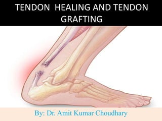 TENDON HEALING AND TENDON
GRAFTING
By: Dr. Amit Kumar Choudhary
 