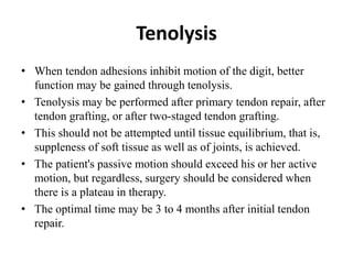 Tendon healing and tendon grafting | PPTX