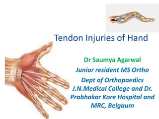 Tendon Injuries of Hand
Dr Saumya Agarwal
Junior resident MS Ortho
Dept of Orthopaedics
J.N.Medical College and Dr.
Prabhakar Kore Hospital and
MRC, Belgaum
 