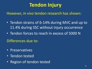 Tendon Injury
However, in vivo tendon research has shown:

• Tendon strains of 6-14% during MVC and up to
  11.4% during SSC without injury occurrence
• Tendon forces to reach in excess of 5000 N
Differences due to:

• Preservatives
• Tendon tested
• Region of tendon tested
                                              22
 