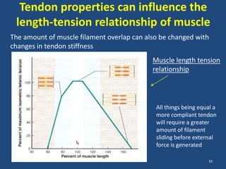 Tendon properties can influence the
 length-tension relationship of muscle
The amount of muscle filament overlap can also be changed with
changes in tendon stiffness
                                            Muscle length tension
                                            relationship




                                             All things being equal a
                                             more compliant tendon
                                             will require a greater
                                             amount of filament
                                             sliding before external
                                             force is generated

                                                                 33
 