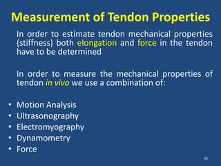 Measurement of Tendon Properties
    In order to estimate tendon mechanical properties
    (stiffness) both elongation and force in the tendon
    have to be determined

    In order to measure the mechanical properties of
    tendon in vivo we use a combination of:

•   Motion Analysis
•   Ultrasonography
•   Electromyography
•   Dynamometry
•   Force
                                                    36
 