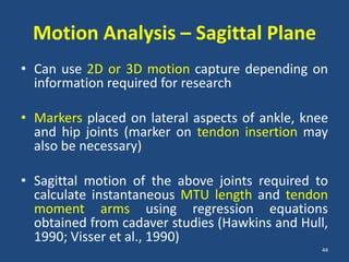 Motion Analysis – Sagittal Plane
• Can use 2D or 3D motion capture depending on
  information required for research

• Markers placed on lateral aspects of ankle, knee
  and hip joints (marker on tendon insertion may
  also be necessary)

• Sagittal motion of the above joints required to
  calculate instantaneous MTU length and tendon
  moment arms using regression equations
  obtained from cadaver studies (Hawkins and Hull,
  1990; Visser et al., 1990)
                                                 44
 