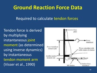 Ground Reaction Force Data
       Required to calculate tendon forces

Tendon force is derived
by multiplying
instantaneous joint
moment (as determined
using inverse dynamics)
by instantaneous
tendon moment arm
(Visser et al., 1990)
                                             50
 
